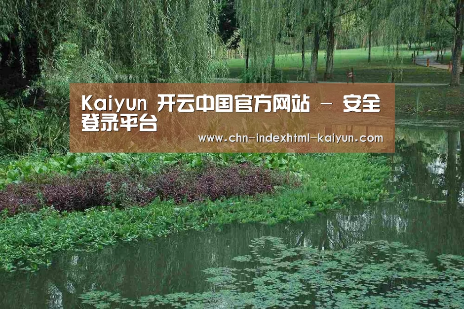 案例展示一(图1)