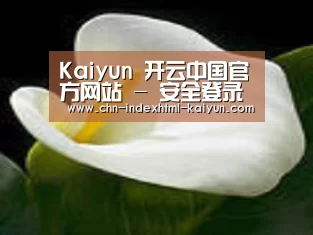 产品名称七