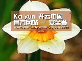 产品名称四