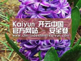 产品名称八