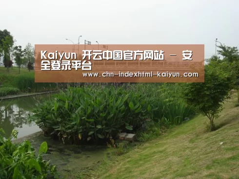 案例展示四