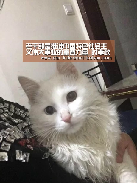 老干部是推进中国特色社会主义伟大事业的重要力量_时事政治_中公教育网【kaiyun】(图1) 开云