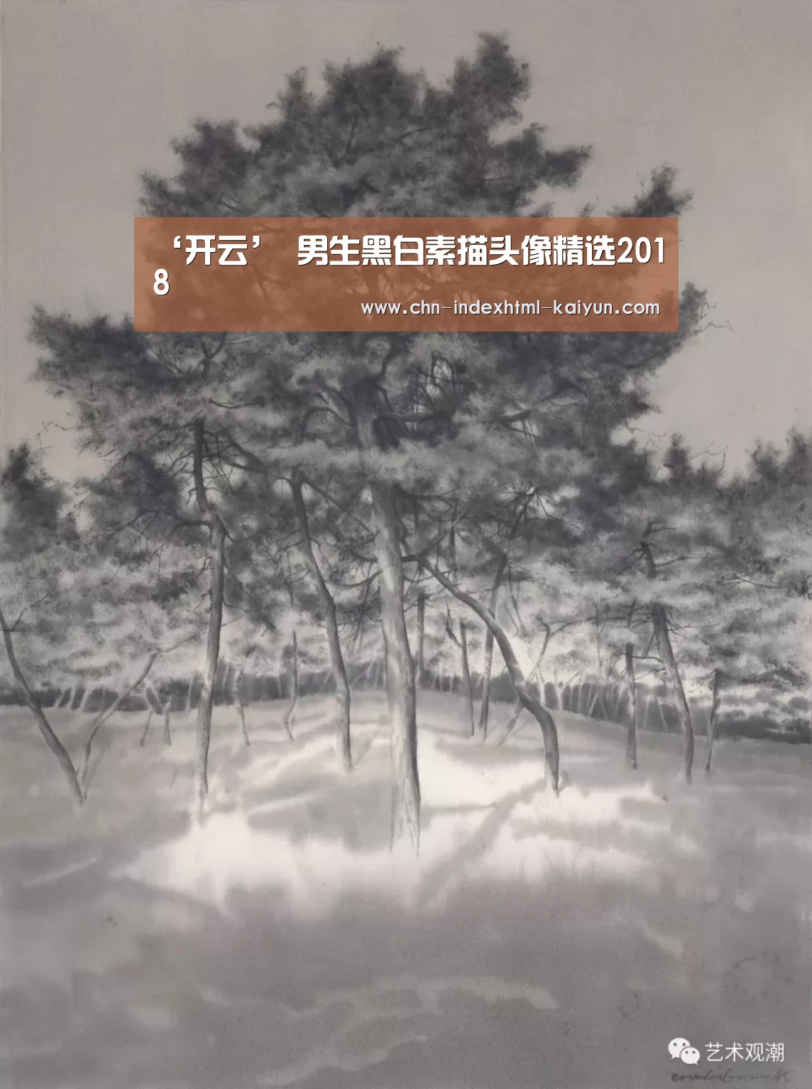 ‘开云’
男生黑白素描头像精选2018(图4) 开云
