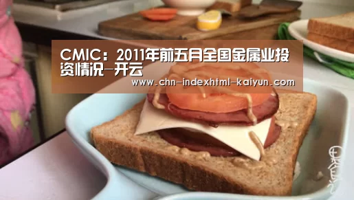 CMIC：2011年前五月全国金属业投资情况-开云(图2)