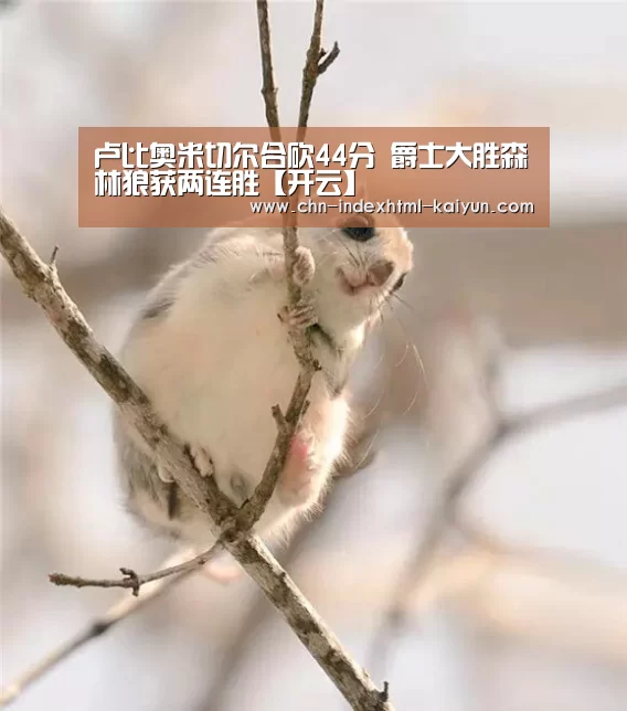 卢比奥米切尔合砍44分 爵士大胜森林狼获两连胜【开云】(图3)