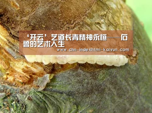 ‘开云’艺道长青精神永恒——石鲁的艺术人生(图2) 开云
