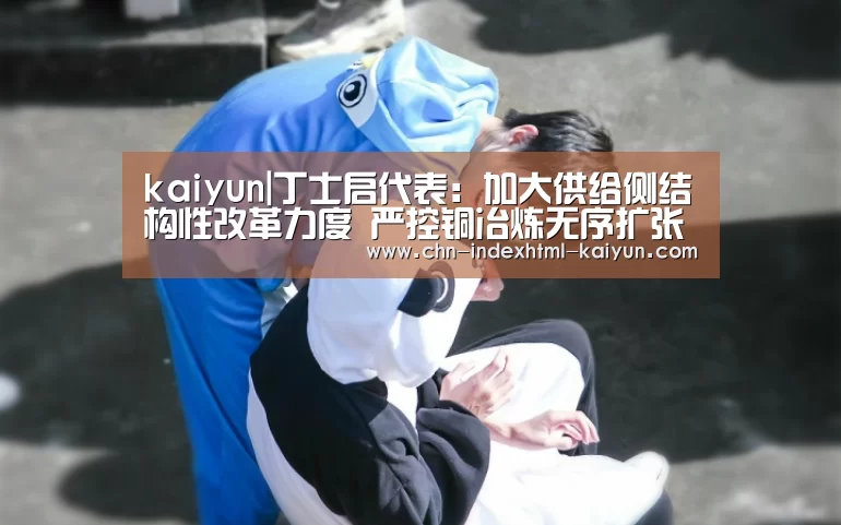 kaiyun|丁士启代表:加大供给侧结构性改革力度 严控铜冶炼无序扩张(图2) 开云