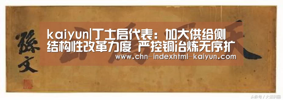 kaiyun|丁士启代表:加大供给侧结构性改革力度 严控铜冶炼无序扩张(图1) 开云