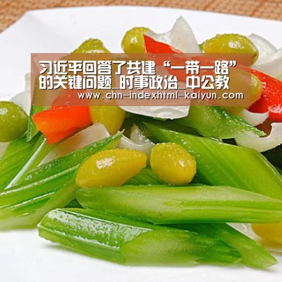 习近平回答了共建“一带一路”的关键问题_时事政治_中公教育网【kaiyun】(图1)