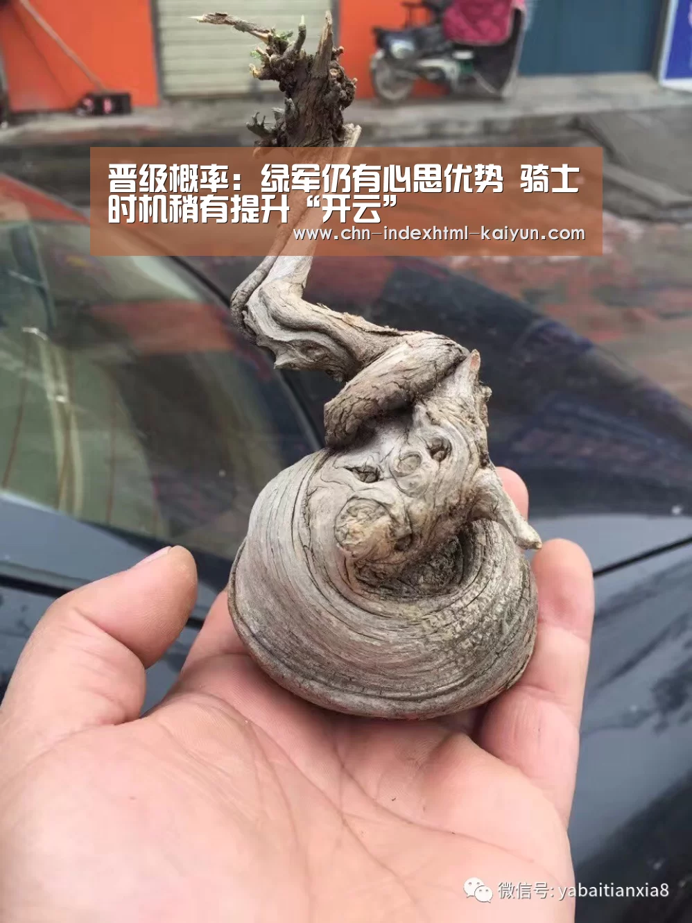 晋级概率:绿军仍有心思优势 骑士时机稍有提升“开云”(图2) 开云